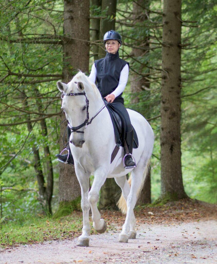 mental cheval environnement extérieur