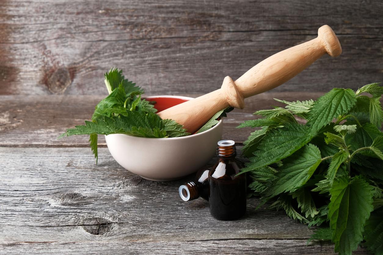 Nettle leaf extract in a bottle on a wooden background, traditional medicine concept feuille d'ortie dans un mortier pour préparation médicinale équine