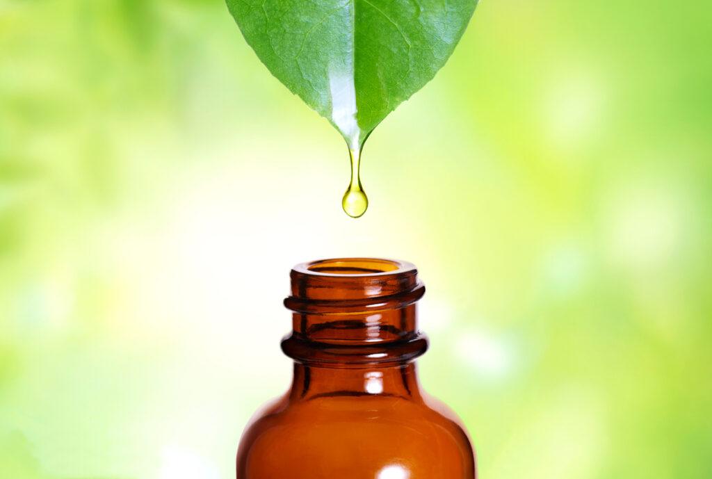 Herbal essence. Alternative healthy medicine. Skin care. goute d'huile de phytothérapie équine coulant d'une feuille dans un flacon