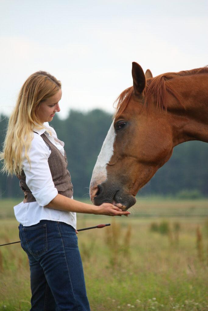 Renforcement positif du cheval : une dresseuse donne une friandise en récompense à son cheval