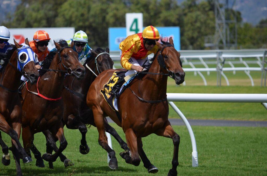 chevaux de course pur-sang anglais en pleine action sur la piste d'un hippodrome