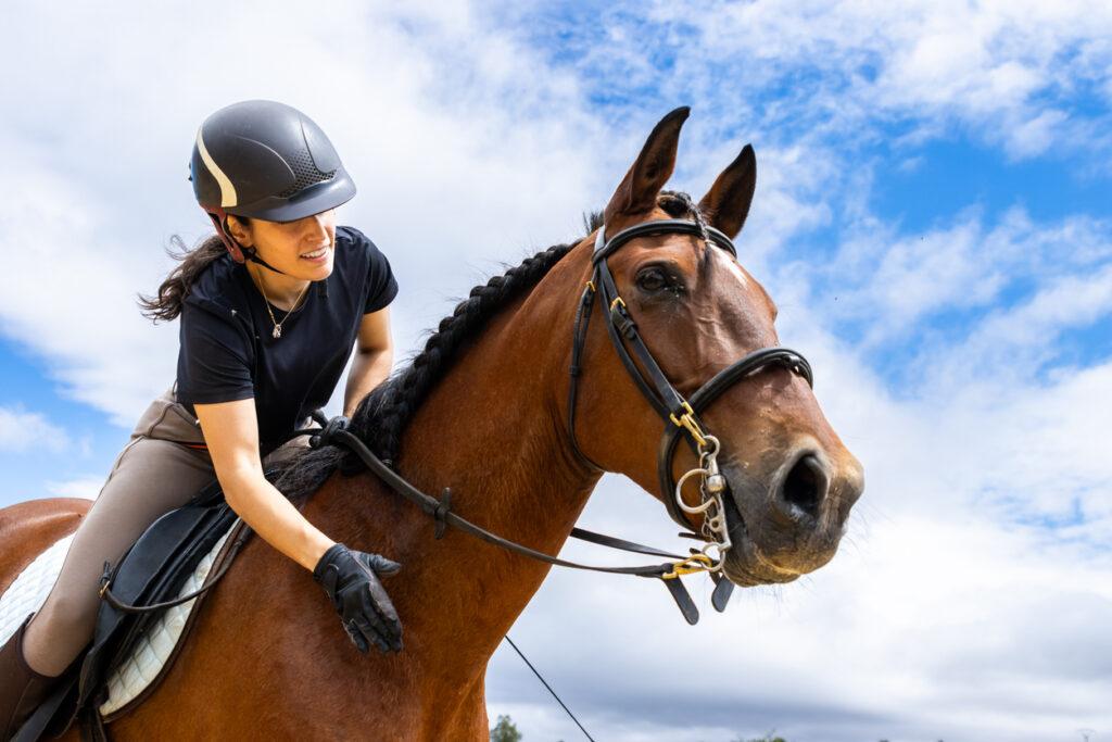 cheval et cavalière satisfaits et sereins
